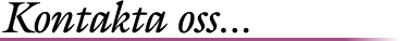 Aktiviteter_logo-02-02.jpg (11897 bytes)